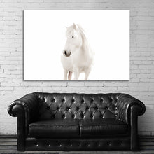 Load image into Gallery viewer, #019 Horse