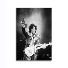 Load image into Gallery viewer, #020BW Prince