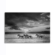 Load image into Gallery viewer, #016 Horse