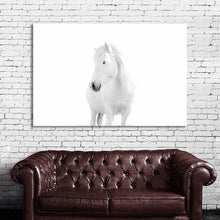 Load image into Gallery viewer, #020BW Horse