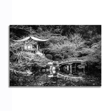 Load image into Gallery viewer, #017BW Japan