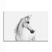 Load image into Gallery viewer, #030BW Horse