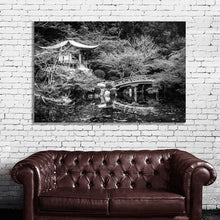 Load image into Gallery viewer, #017BW Japan