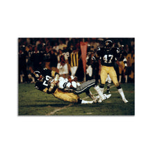 Load image into Gallery viewer, #003 Steelers