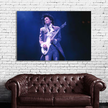 Load image into Gallery viewer, #024 Prince