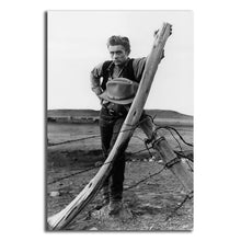 Load image into Gallery viewer, #030 James Dean