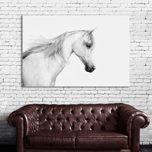 Load image into Gallery viewer, #028BW Horse