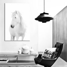 Load image into Gallery viewer, #043bw Horse