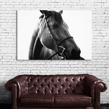 Load image into Gallery viewer, #009BW Horse