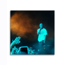Load image into Gallery viewer, #501 Frank Ocean