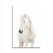 Load image into Gallery viewer, #042 Horse