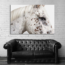 Load image into Gallery viewer, #021 Horse