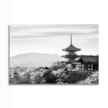 Load image into Gallery viewer, #025BW Japan