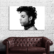 Load image into Gallery viewer, #026BW Prince