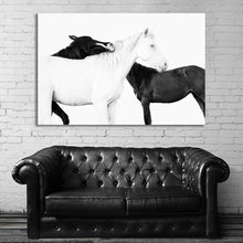 Load image into Gallery viewer, #006BW Horse