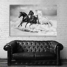 Load image into Gallery viewer, #024BW Horse