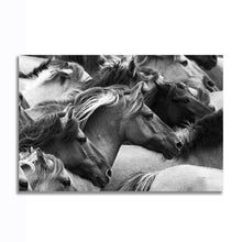 Load image into Gallery viewer, #004BW Horse