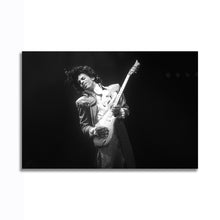 Load image into Gallery viewer, #021BW Prince