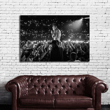 Load image into Gallery viewer, #002BW Linkin Park