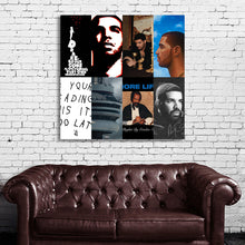 Load image into Gallery viewer, #510 Drake