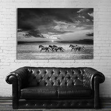 Load image into Gallery viewer, #016 Horse