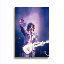 Load image into Gallery viewer, #019 Prince