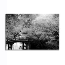 Load image into Gallery viewer, #021BW Japan