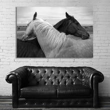 Load image into Gallery viewer, #031 Horse