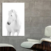 Load image into Gallery viewer, #043bw Horse