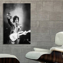 Load image into Gallery viewer, #020BW Prince