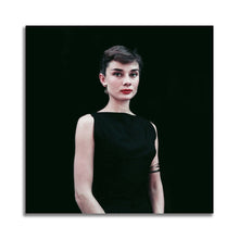 Load image into Gallery viewer, #507 Audrey Hepburn