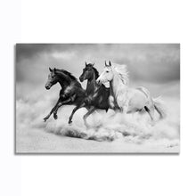 Load image into Gallery viewer, #024BW Horse