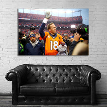 Load image into Gallery viewer, #001 Broncos