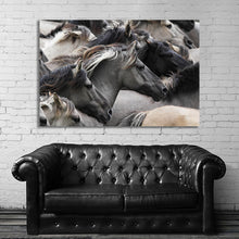 Load image into Gallery viewer, #003 Horse