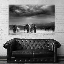 Load image into Gallery viewer, #018 Horse