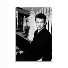Load image into Gallery viewer, #045 James Dean