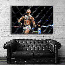 Load image into Gallery viewer, #010 Conor McGregor