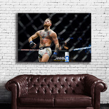 Load image into Gallery viewer, #010 Conor McGregor