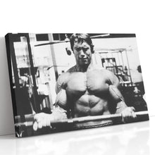 Load image into Gallery viewer, #004 Arnold Schwarzenegger
