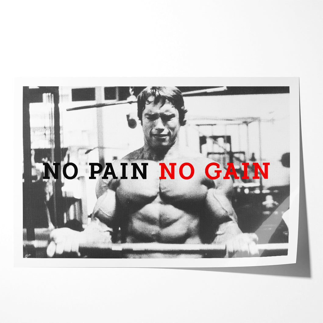 #026 Arnold Schwarzenegger