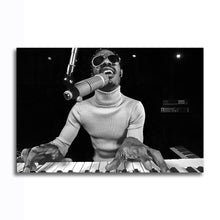 Load image into Gallery viewer, #001 Stevie Wonder

