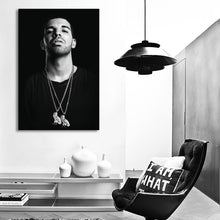 Load image into Gallery viewer, #002 Drake
