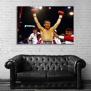 #003 Julio Cesar Chavez