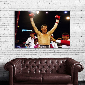 #003 Julio Cesar Chavez