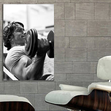 Load image into Gallery viewer, #049 Arnold Schwarzenegger
