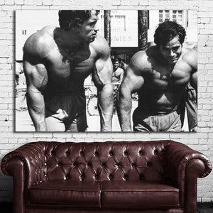 #029 Arnold Schwarzenegger x Franco Columbu