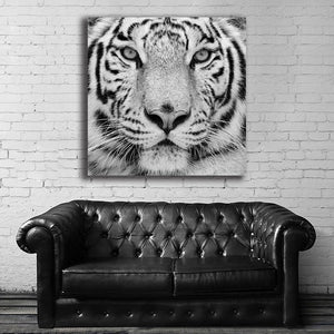 #501BW Tiger