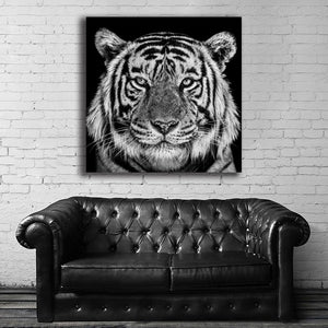 #504 Tiger