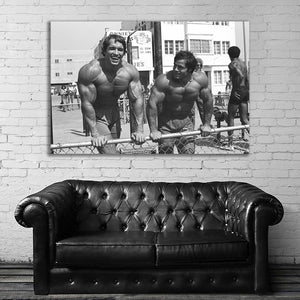 #052 Arnold Schwarzenegger x Franco Columbu