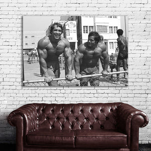 #052 Arnold Schwarzenegger x Franco Columbu